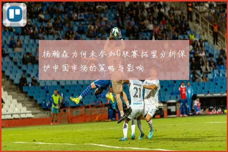 杨瀚森为何未参加G联赛拓蜜分析保护中国市场的策略与影响
